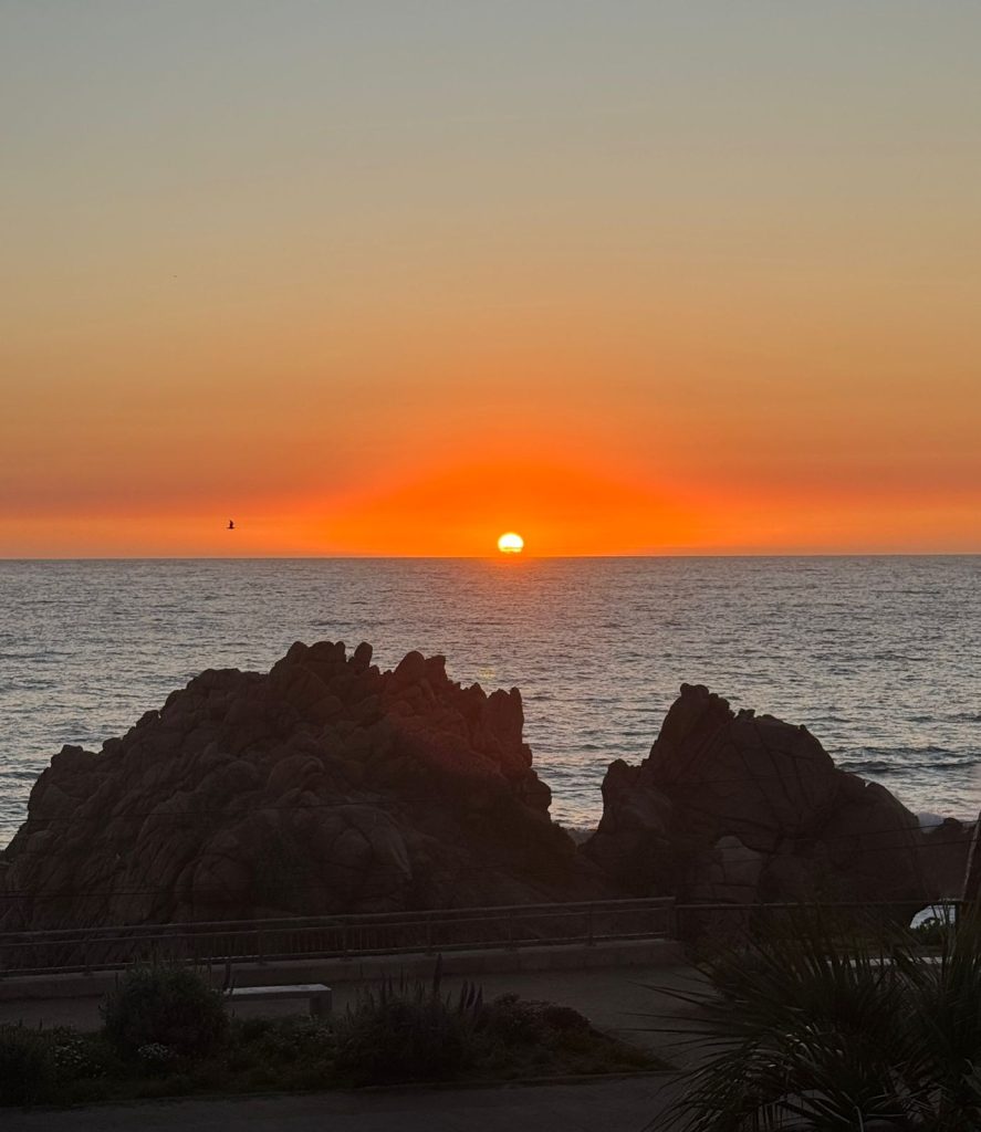 Imagen de WhatsApp 2025 12 07 a las 20.04.12 17b6bd4c