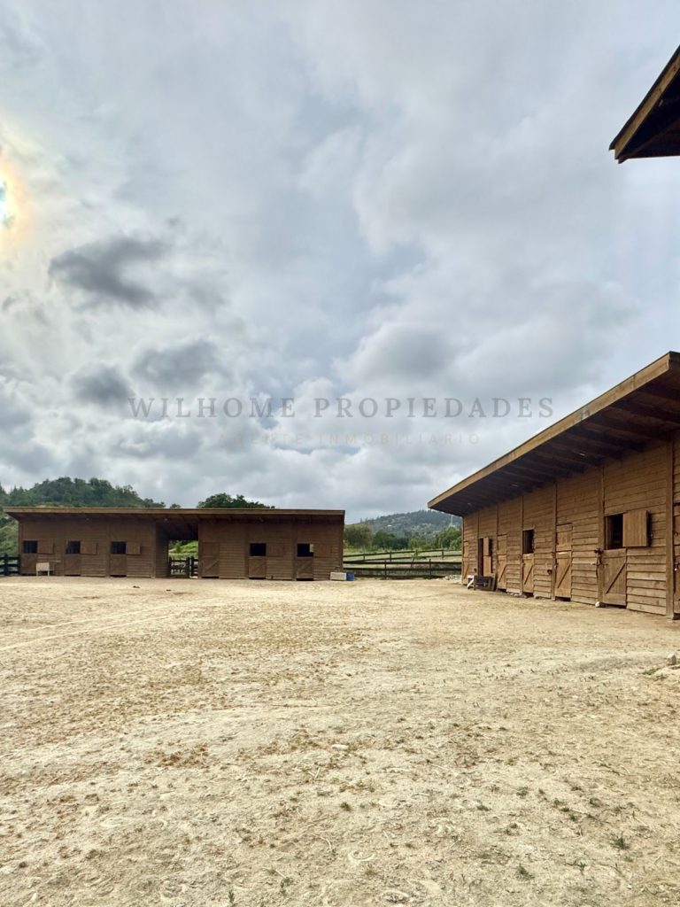 Imagen de WhatsApp 2025 11 12 a las 16.50.16 22d84e0e