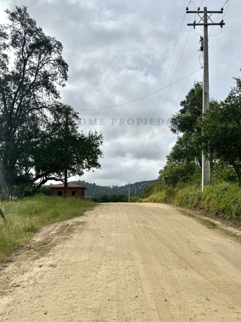 Imagen de WhatsApp 2025 11 12 a las 16.50.16 589c89f2