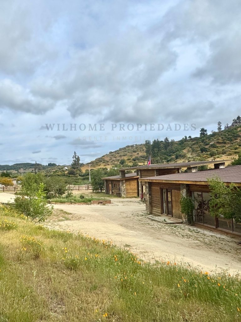 Imagen de WhatsApp 2025 11 12 a las 16.50.17 5e1a60ae