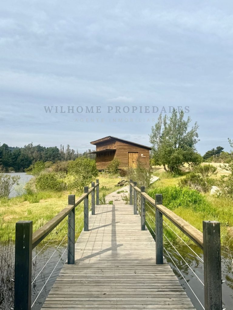 Imagen de WhatsApp 2025 11 12 a las 16.50.17 70f2a65a