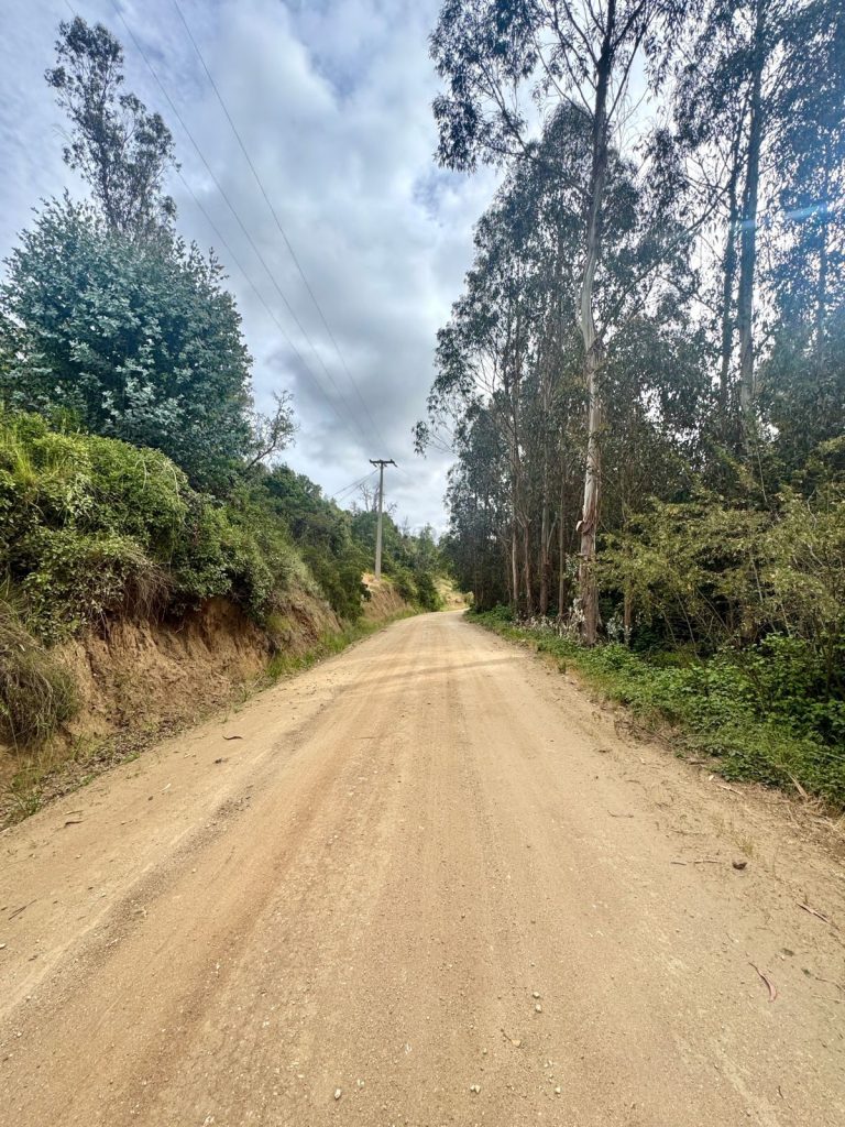 Imagen de WhatsApp 2025 11 12 a las 16.50.17 c65632cc