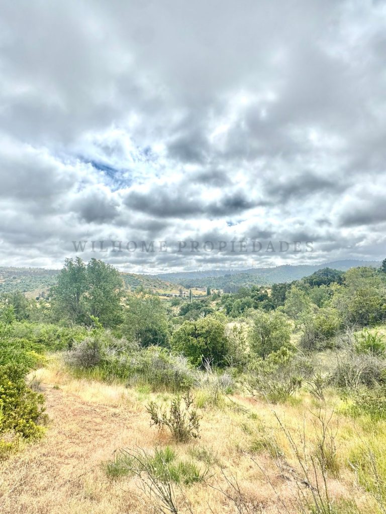 Imagen de WhatsApp 2025 11 12 a las 16.50.18 204fea3e