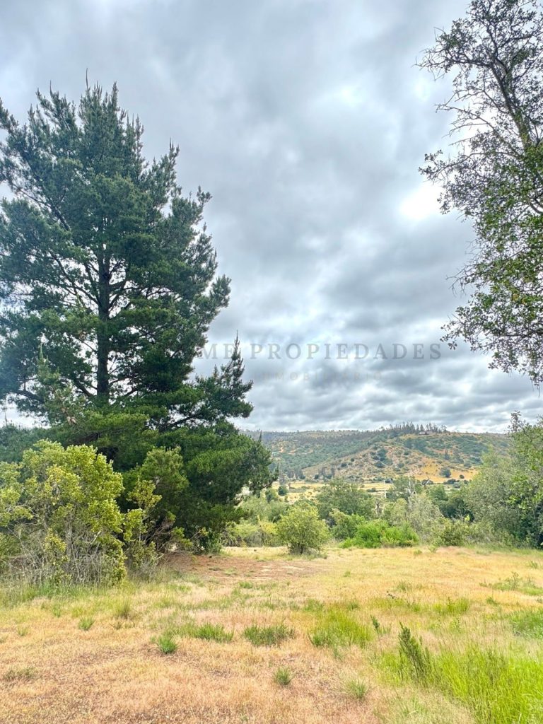 Imagen de WhatsApp 2025 11 12 a las 16.50.18 4ef4486b