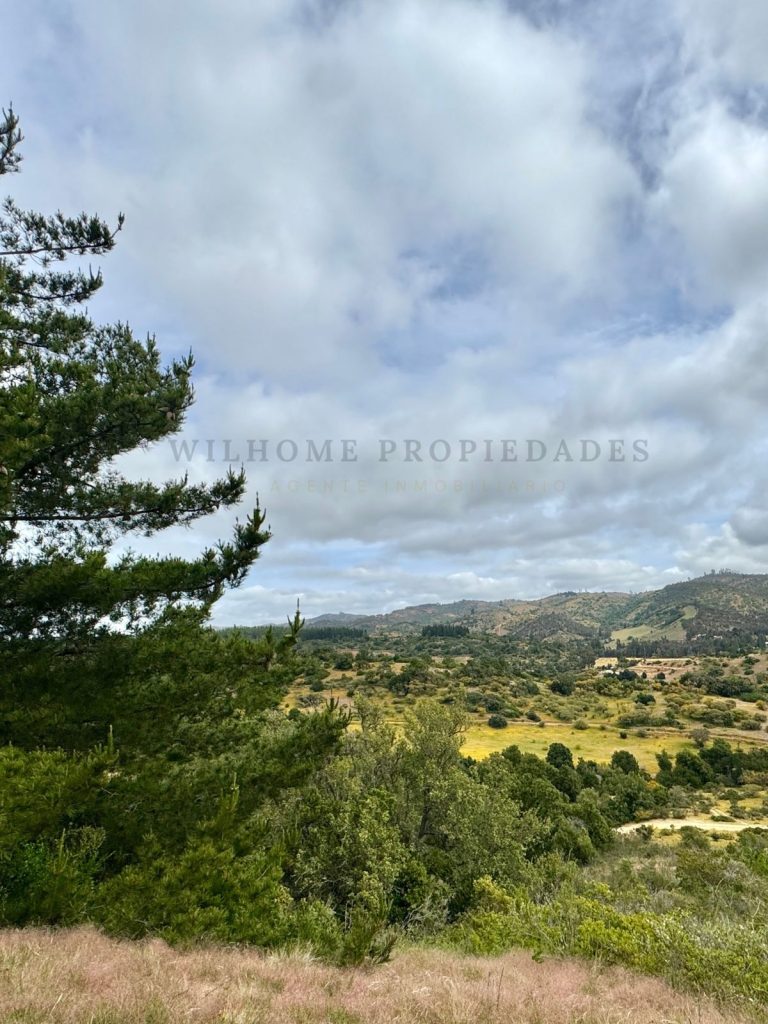 Imagen de WhatsApp 2025 11 12 a las 16.50.18 912e781d