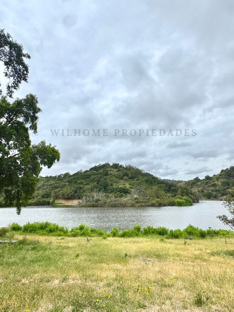 Imagen de WhatsApp 2025 11 12 a las 16.50.18 9d485298