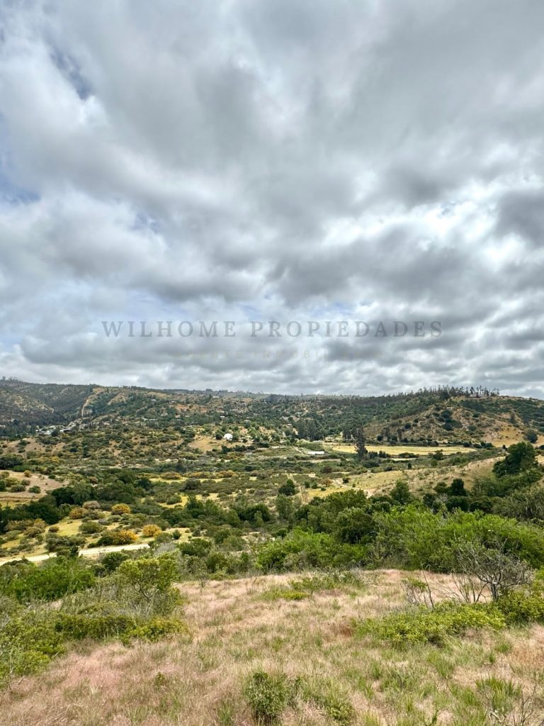 Imagen de WhatsApp 2025 11 12 a las 16.50.18 a8ad7b94