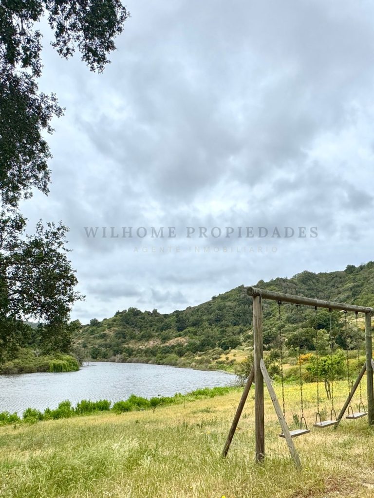 Imagen de WhatsApp 2025 11 12 a las 16.50.19 251759a4