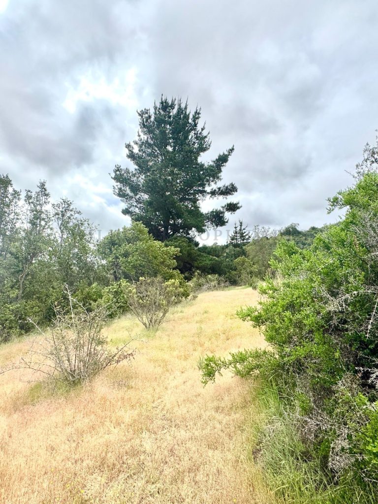 Imagen de WhatsApp 2025 11 12 a las 16.50.19 3262d88c