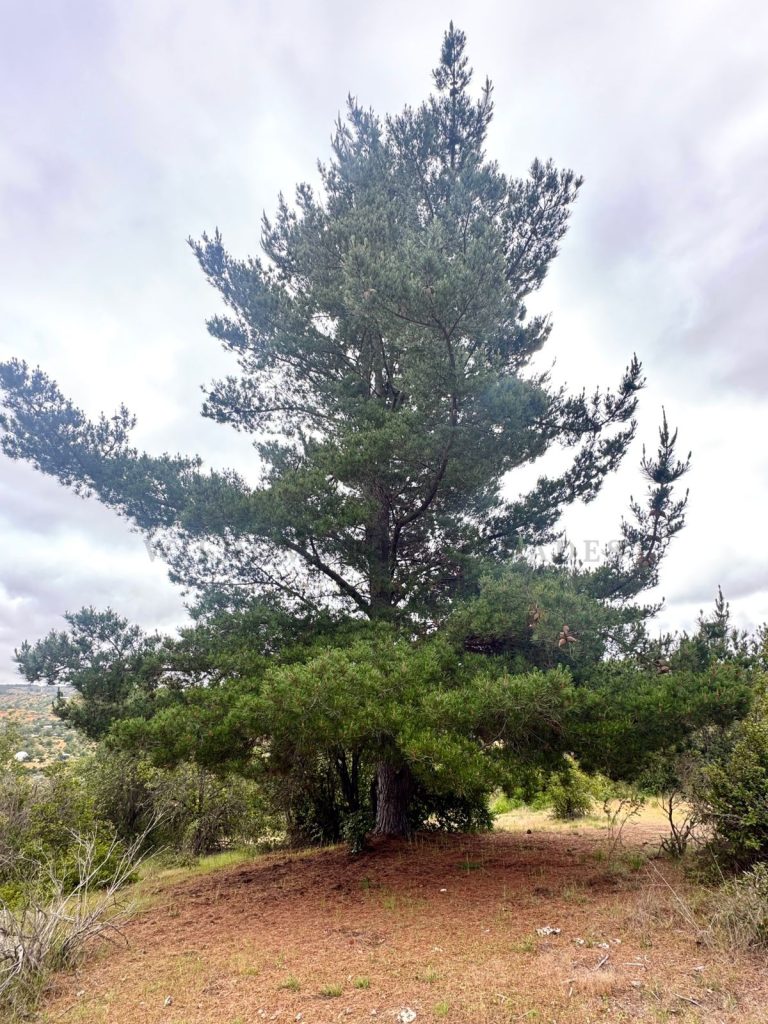 Imagen de WhatsApp 2025 11 12 a las 16.50.19 44aaff90