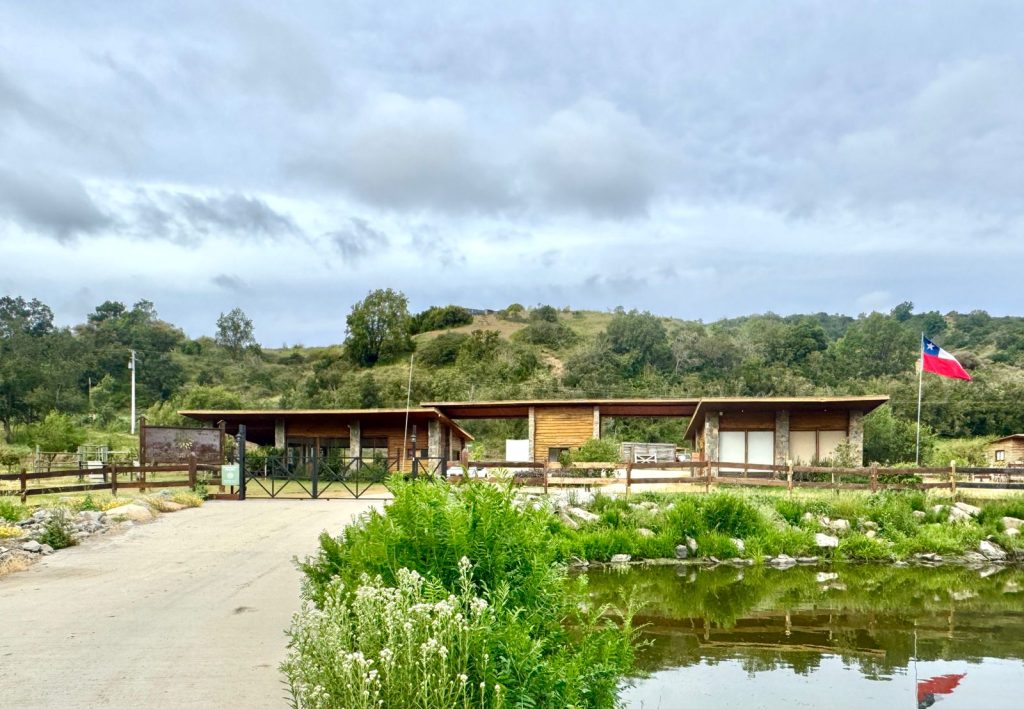 Imagen de WhatsApp 2025 11 12 a las 16.50.20 2be92682