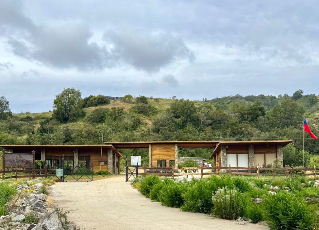 Imagen de WhatsApp 2025 11 12 a las 16.50.20 7aa0567d