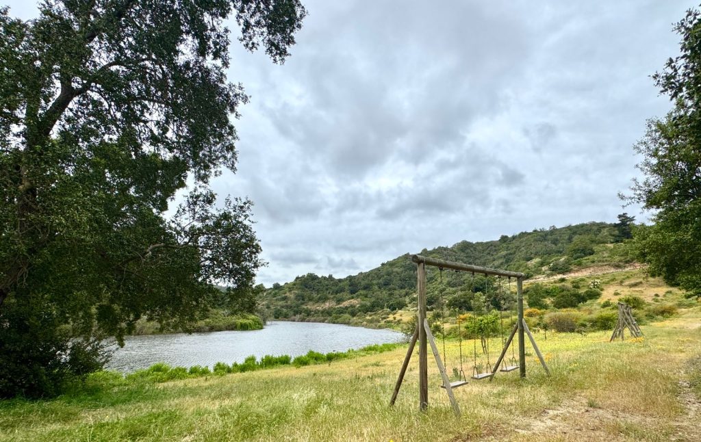 Imagen de WhatsApp 2025 11 12 a las 16.53.50 1768c517