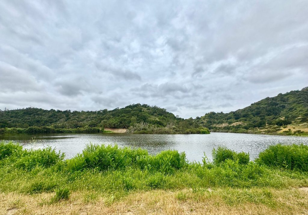 Imagen de WhatsApp 2025 11 12 a las 16.53.51 773bb597