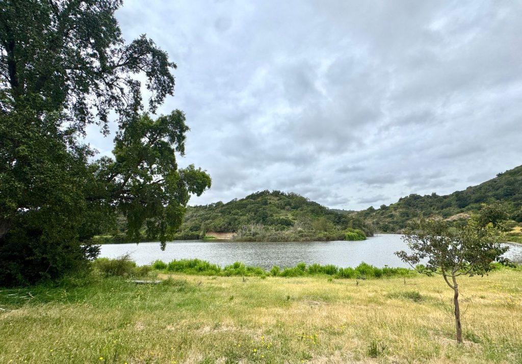 Imagen de WhatsApp 2025 11 12 a las 16.53.51 8a7a9d35