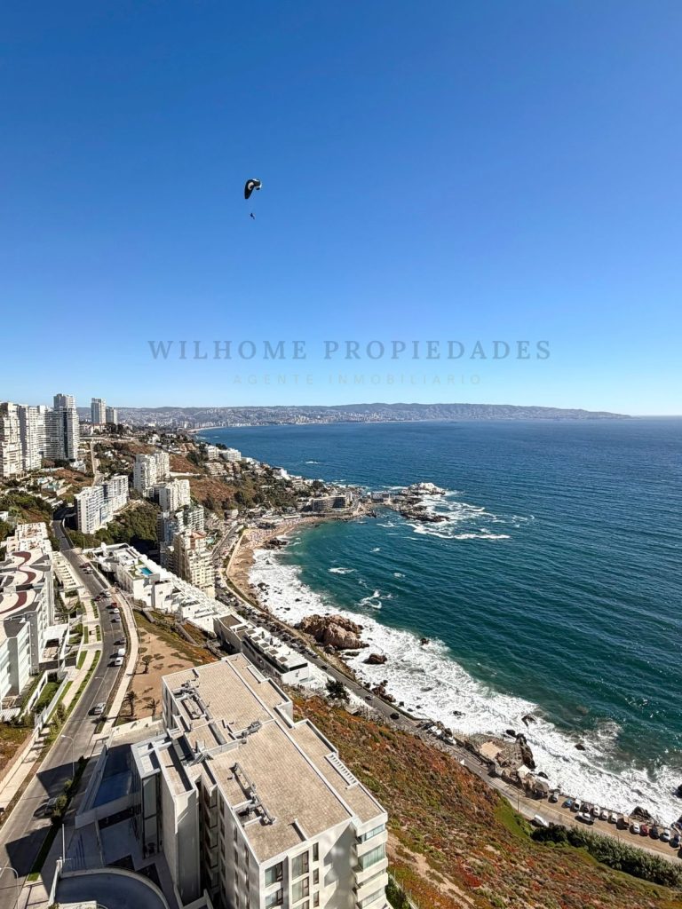 WhatsApp Image 2026 02 11 at 15.d d 14.14